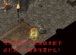 传奇私服神王骷髅版本新手必打的三大精英怪是什么? 传奇私服神王骷髅版本新手必打的三大精英怪是什么?