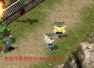 龙城传奇赞助玩法如何选择? 龙城传奇赞助玩法如何选择?