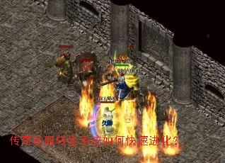 传奇私服转生系统如何快速进化? 传奇私服转生系统如何快速进化?