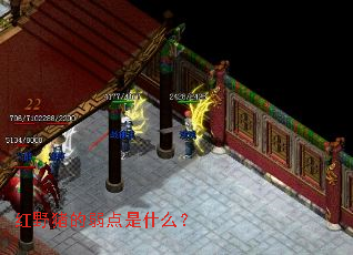 红野猪的弱点是什么? 红野猪的弱点是什么?