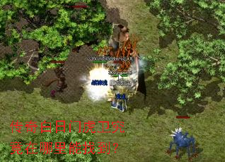 传奇白日门虎卫究竟在哪里能找到? 传奇白日门虎卫究竟在哪里能找到?