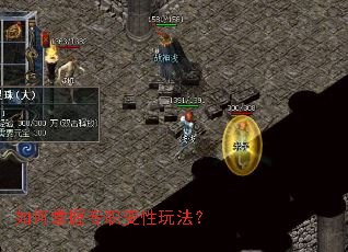 如何掌握专职变性玩法? 如何掌握专职变性玩法?