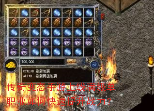 �����̬��������������ְҵ��ο�������ս����