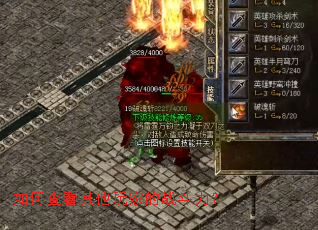 ��β鿴������ҵ�ս������