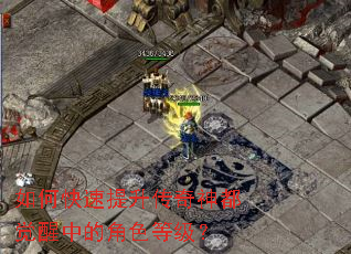 ��ο������������񶼾����еĽ�ɫ�ȼ���