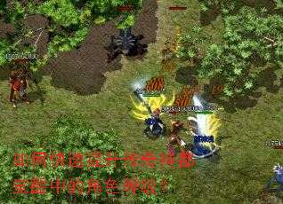 ��ο������������񶼾����еĽ�ɫ�ȼ���