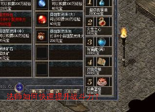 ��ʦ��ο�������ս������