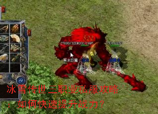 ��ѩ������ְҵ˽�����ԣ���ο�������ս����