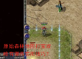 ԭʼɭ�ֵ�ͼ�򱦹�������Щʵ�ü��ɣ�