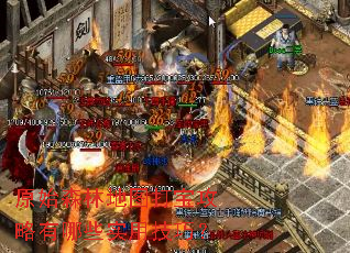 ԭʼɭ�ֵ�ͼ�򱦹�������Щʵ�ü��ɣ�