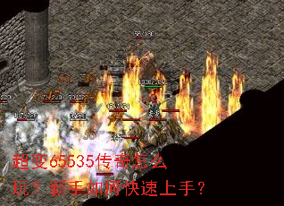 ����65535������ô�棿������ο������֣�