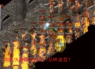 ��ο���ͨ�������Ŵ����Թ���