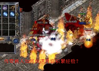 ����������ο����������۾��飿