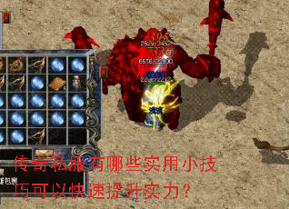 ����˽������Щʵ��С���ɿ��Կ�������ʵ����