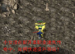 СŮ�����¿���ְҵ��ʧ�����У���ο��������ȼ���