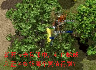 新开传奇私服中,红色蛇妖和蓝色蛇妖哪个更值得刷? 新开传奇私服中,红色蛇妖和蓝色蛇妖哪个更值得刷?