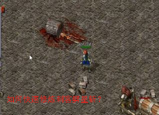 ��ο��������̿�����ն��