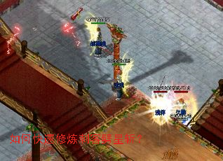 ��ο��������̿�����ն��