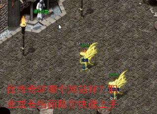 �Ҵ���SF�ĸ���վ�ã�ְҵ�ɳ�ָ�������������