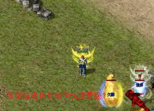 ������Ϸ�ƺ���ο��ٽ�����