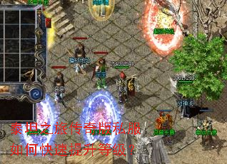 ̩̹֮�ô����˽����ο��������ȼ���