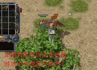 �������PK�淨�ڴ�����Ϸ�п�������ʵ����