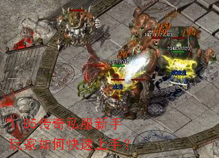 1.85����˽�����������ο������֣�