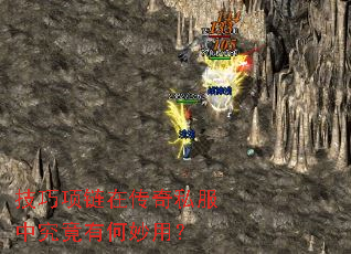 ���������ڴ���˽���о����к����ã�