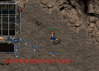 �������������������������