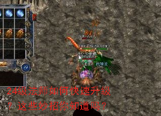 24����ʦ��ο�����������Щ������֪����