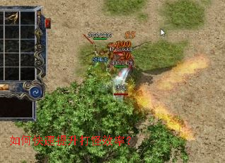 ��ο����������Ч�ʣ�