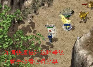 ��ο���������ʦ�ȼ������ֱؿ��ĵ÷���