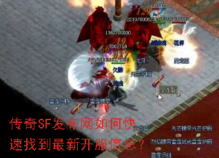 ����SF��������ο����ҵ����¿�����Ϣ��