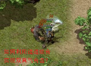 ������õ������ʵ��˫�����ϻ���