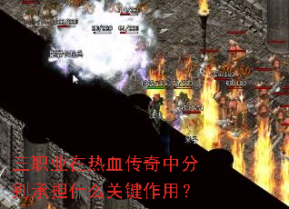 ��ְҵ����Ѫ�����зֱ�е�ʲô�ؼ����ã�