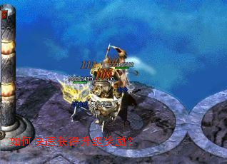 ��ο��ٻ������������