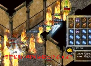 ����˽�������ֹ�������������