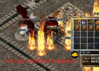 ����˽�������ֹ�������������