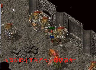 ����˽�������ֹ�������������