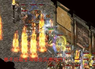 ������սʿ����Щʵ�ü��ɣ�