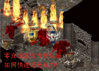 ���ֵ���Ŵ���˽����ο�������ս����