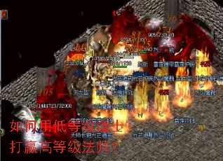 ����õ͵ȼ���ʿ��Ӯ�ߵȼ���ʦ��