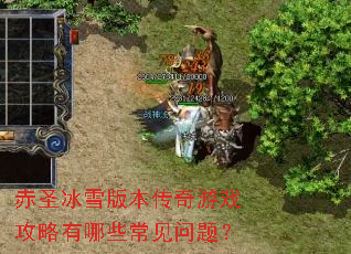 ��ʥ��ѩ�汾������Ϸ��������Щ�������⣿