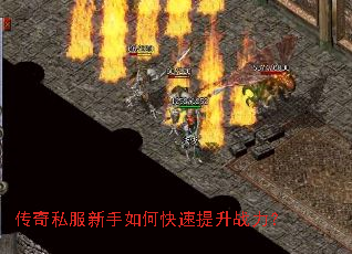 ����˽��������ο�������ս����