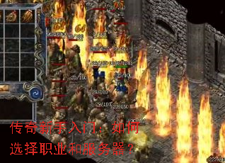 �����������ţ����ѡ��ְҵ�ͷ�������