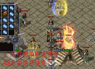 ʲô���ĵ�ְҵ����汾��ֵ�����飿