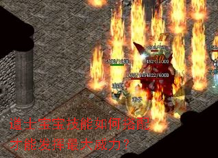 道士宝宝技能如何搭配才能发挥最大威力? 道士宝宝技能如何搭配才能发挥最大威力?