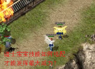 道士宝宝技能如何搭配才能发挥最大威力? 道士宝宝技能如何搭配才能发挥最大威力?