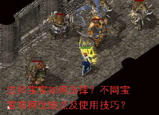 法师宝宝如何选择?不同宝宝有何优缺点及使用技巧? 法师宝宝如何选择?不同宝宝有何优缺点及使用技巧?