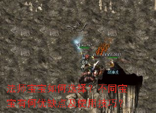 ��ʦ�������ѡ�񣿲�ͬ�����к���ȱ�㼰ʹ�ü��ɣ�